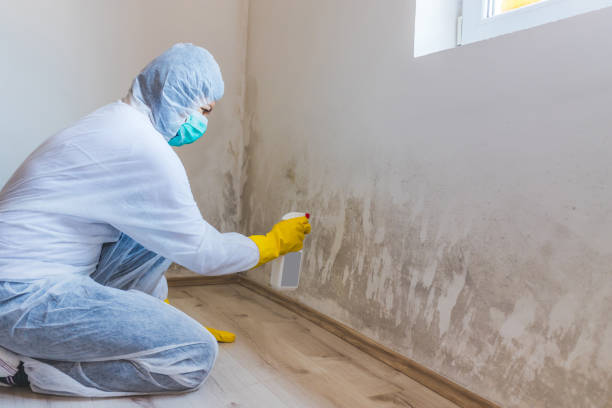Mold Remediation specialist working in Unionville